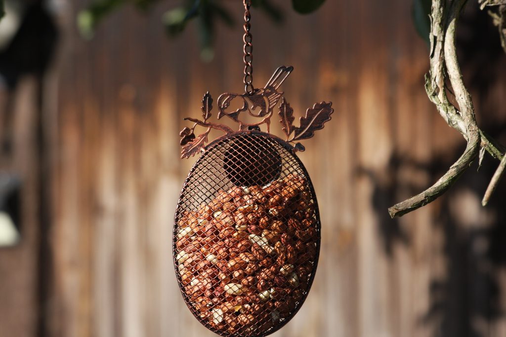 Oval Bird Feeder