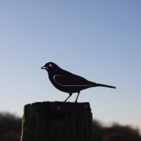 Blackbird Fence Topper