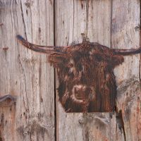 Highland cow,  68x36cm H, copper finish, 1.2mm thick steel